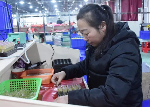 大龍企業(yè) 優(yōu)質產品驅動訂單增長，培訓活動助力持續(xù)發(fā)展