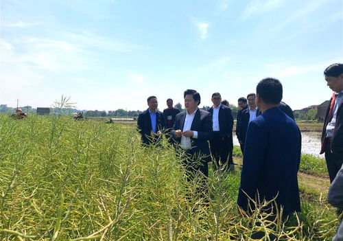 郴州新聞網 市委副書記 市長 劉志仁