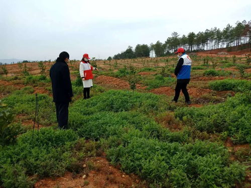 吉水奏響抗疫 青春戰歌