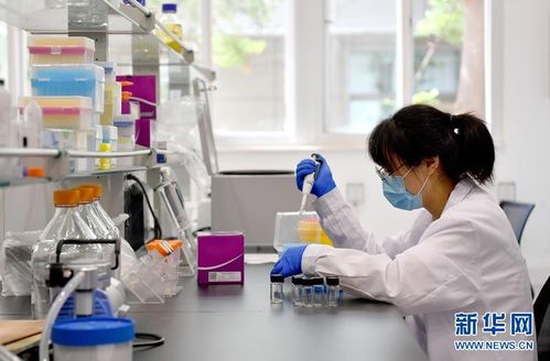 陜西楊凌 發展特色現代農業 助力鄉村振興