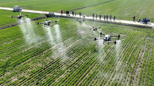 上海戰(zhàn)略所 國際農(nóng)業(yè)科技創(chuàng)新加速,中國大都市如何作為