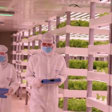 AI人工智能進軍農業 中科三安驚艷9.8投洽會